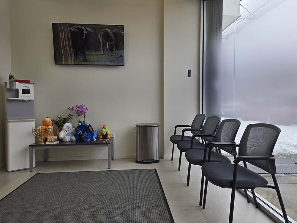 Waiting area at VITAdent Brooklyn dental office