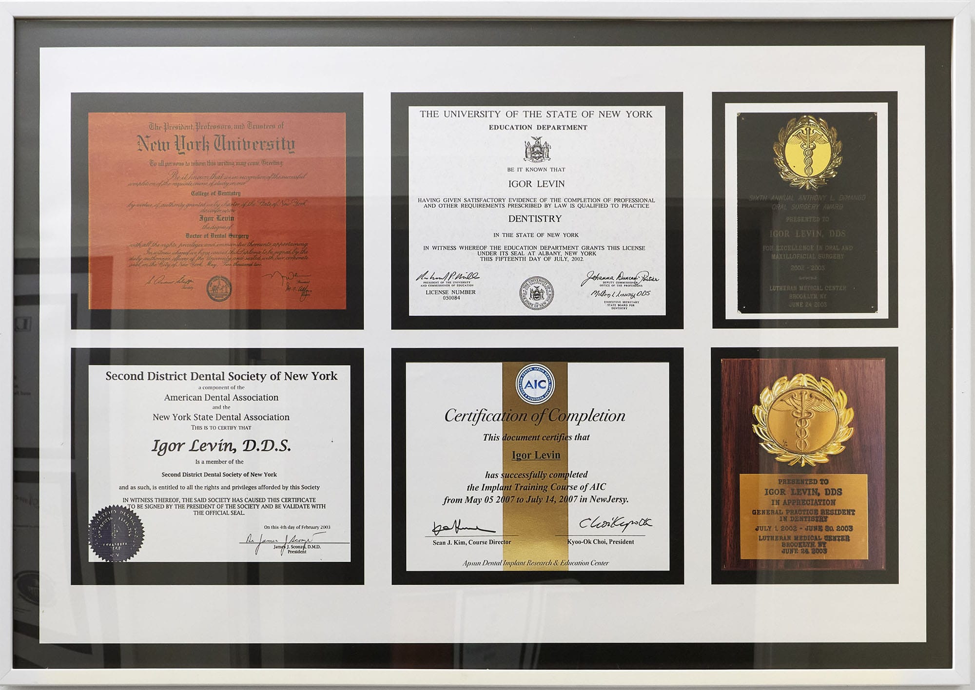 Dr. Igor Levin, DDS credentials and dental certifications at VITAdent Brooklyn